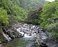 2. 가리왕산 자연휴양림